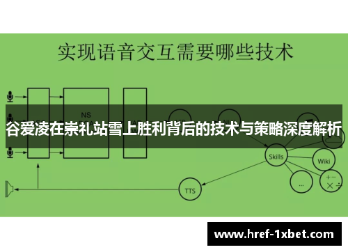 谷爱凌在崇礼站雪上胜利背后的技术与策略深度解析 谷爱凌在崇礼站雪上胜利背后的技术与策略深度解析
