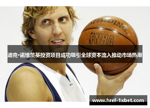 迪克·诺维茨基投资项目成功吸引全球资本流入推动市场热潮