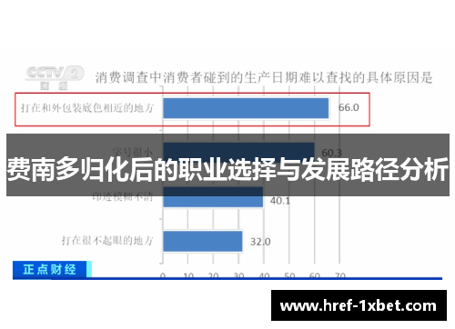 费南多归化后的职业选择与发展路径分析