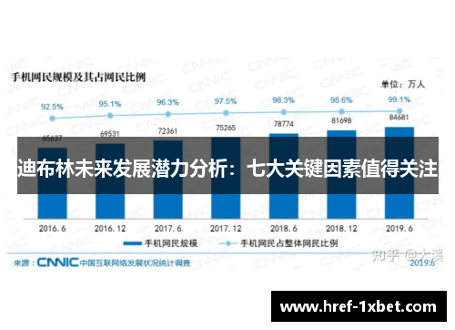 迪布林未来发展潜力分析：七大关键因素值得关注