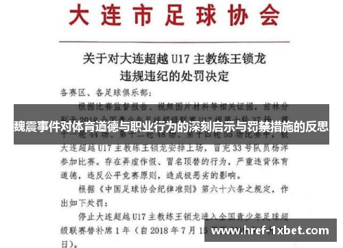魏震事件对体育道德与职业行为的深刻启示与罚禁措施的反思